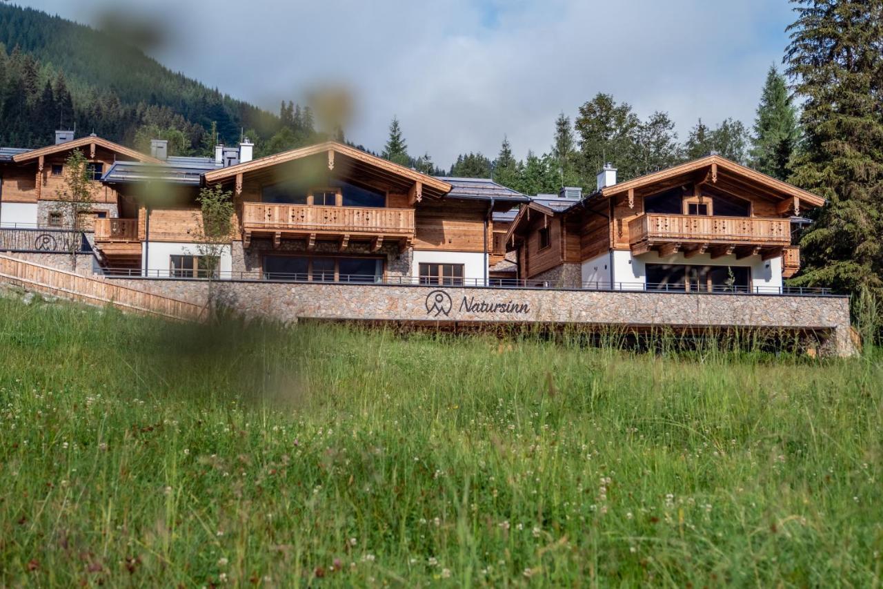 Natursinn Mountainchalets Flachau Exterior photo